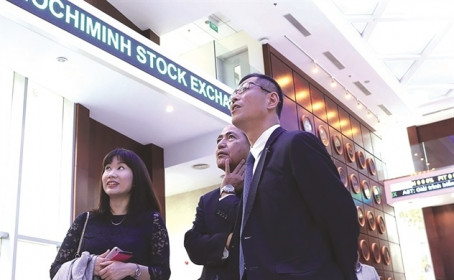 ETF đã cứu chứng khoán?