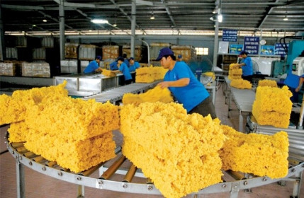 Cảnh báo phương thức thanh toán L/C và "nỗi cô đơn" của doanh nghiệp trong hội nhập