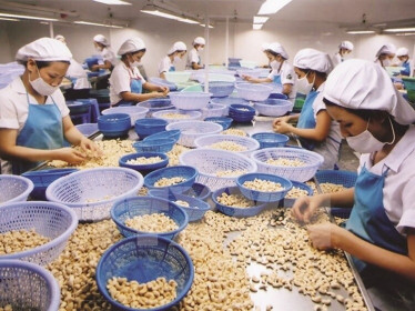 Nghịch lý xuất khẩu điều