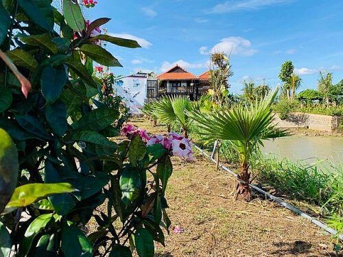 Mua lại nhà sàn cũ, gia đình ở Tây Nguyên làm nhà vườn 3.000m2 tuyệt đẹp