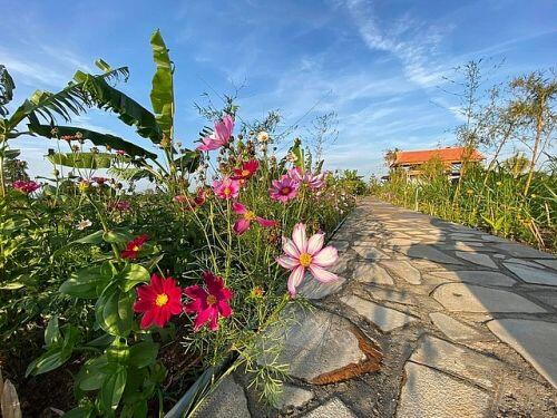 Mua lại nhà sàn cũ, gia đình ở Tây Nguyên làm nhà vườn 3.000m2 tuyệt đẹp