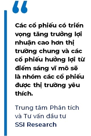 Nhóm cổ phiếu nào sẽ được lựa chọn cho doanh mục cuối năm nay?