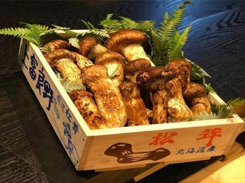 Nấm Tùng Nhung 20 triệu đồng/kg, nhà giàu đợi ‘đỏ mắt’ mới được thưởng thức