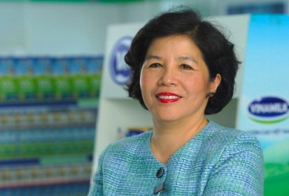 Công ty 'cháu' muốn gom vào 2 triệu cổ phiếu của Vinamilk