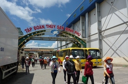 Thủy sản Minh Phú báo lãi 6 tháng đầu năm tăng 51% lên 236 tỷ đồng