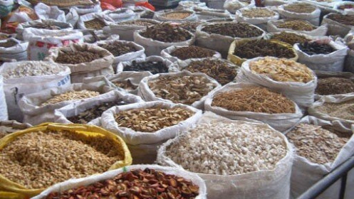 Nhập nhằng thực phẩm - dược liệu: DN điêu đứng