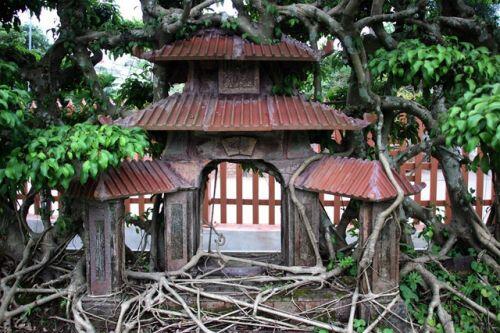 Cây cảnh "Phố cổ Hà Nội", đại gia trả tiền tỷ chủ nhân vẫn chưa bán