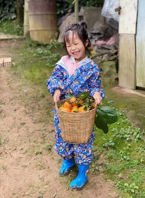 Thứ quả quê mùa được "biến tấu” thành đặc sản vạn người mê có giá nửa triệu đồng/kg