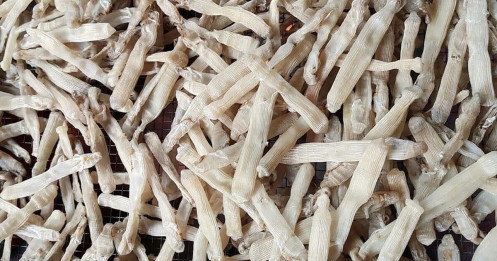 "Mì chính nhà giàu" 5 triệu đồng/kg, khách "dốc tiền" tranh nhau mua