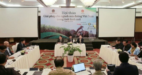Nghi vấn bán phá giá đường nhập, ngành đường lại kêu cứu vì khó cạnh tranh?