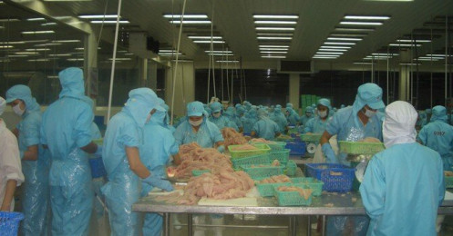 Xuất khẩu thuỷ sản năm 2020 có thể cán đích 8,6 tỷ USD