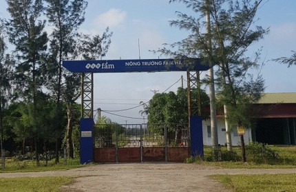 Hà Tĩnh: Đìu hiu dự án nông nghiệp công nghệ cao 300 tỷ của FLC