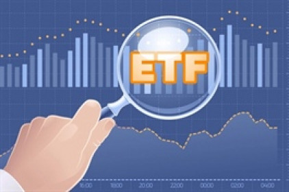 APH vào rổ FTSE Vietnam Index