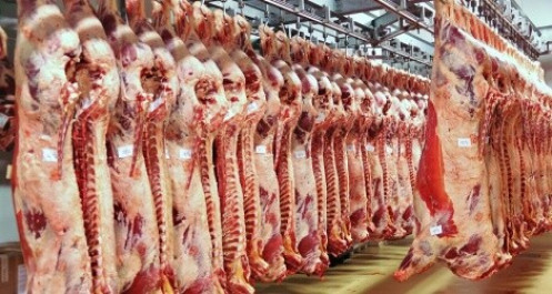 Việt Nam chi 300 triệu USD nhập khẩu thịt lợn ướp lạnh