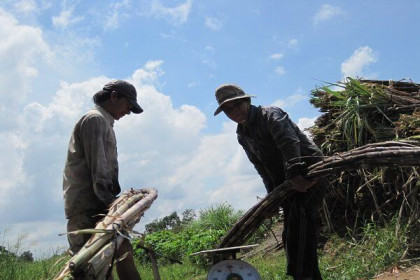 Sẽ áp thuế trở về trước nếu nhập khẩu đường Thái Lan tăng đột biến