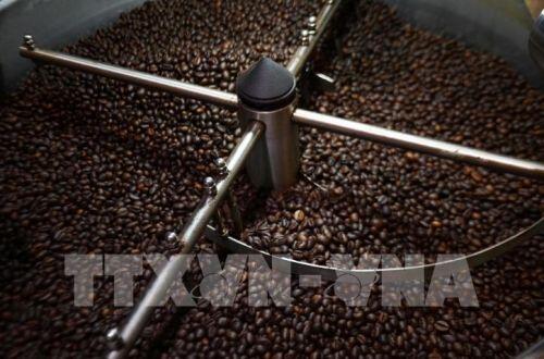 Thị trường nông sản: Giá gạo Ấn Độ tăng nhờ hoạt động thu mua của Trung Quốc