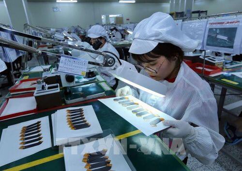 Những nhóm cổ phiếu được kỳ vọng tăng mạnh năm 2021
