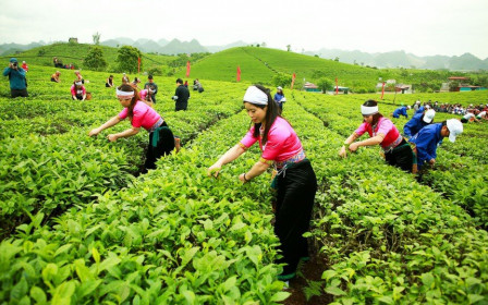 GTNFoods (GTN) đăng ký bán toàn bộ 1 triệu cổ phiếu quỹ