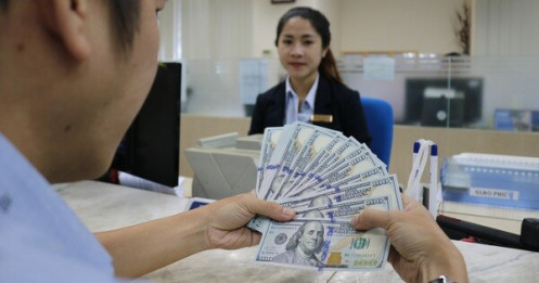 Giá USD giảm nhanh, Sở giao dịch Ngân hàng Nhà nước ngừng mua ngoại tệ giao ngay