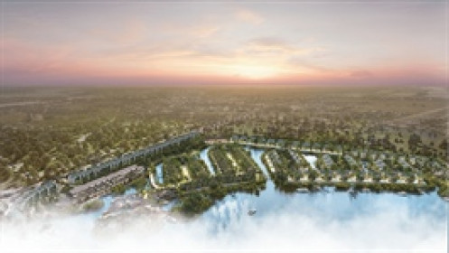 DPG bị truy thu, phạt vi phạm thuế gần 895 triệu đồng