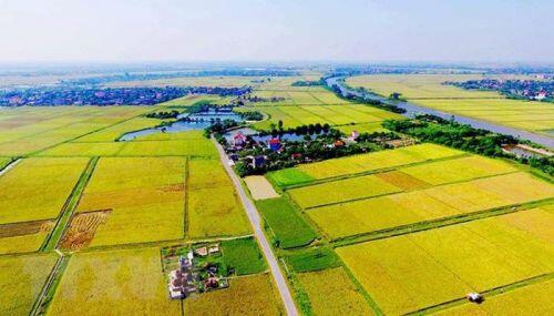 5 kinh nghiệm đầu tư đất nông nghiệp an toàn, sinh lời
