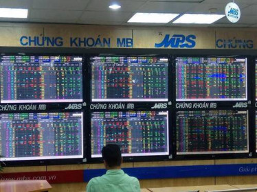 Vẫn liên tiếp nghẽn lệnh trên HOSE sau khi nâng lô giao dịch tối thiểu lên 100 cổ phiếu