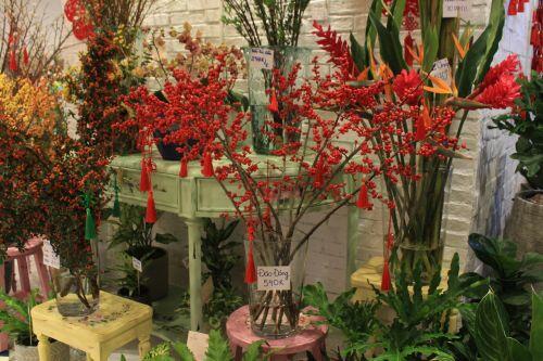 Giá đào đông chơi Tết 30 triệu đồng, nhìn như cây giả mà đắt không tưởng
