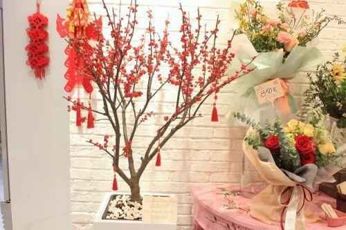 Giá đào đông chơi Tết 30 triệu đồng, nhìn như cây giả mà đắt không tưởng