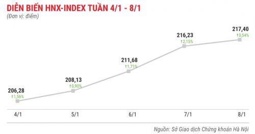 Cổ phiếu chứng khoán tăng mạnh tuần đầu năm 2021