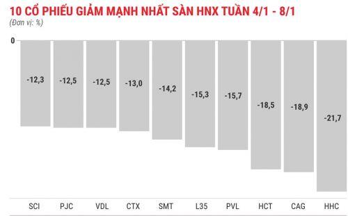 Cổ phiếu chứng khoán tăng mạnh tuần đầu năm 2021