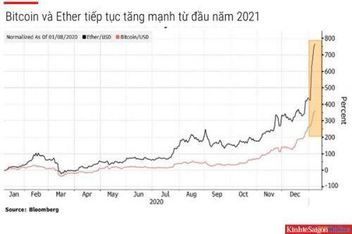 Bitcoin vượt kỷ lục 40.000 đô la, cảnh báo 'bong bóng hoa tulip'