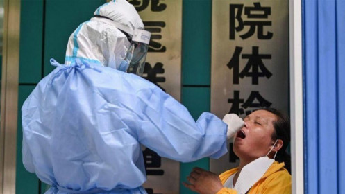 WHO có thể điều tra gì ở Trung Quốc?