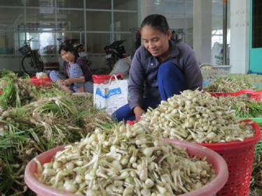 Giá thực phẩm hôm nay 11/1: Giá củ kiệu, củ hành tăng mạnh