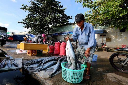 PGS.TS Trần Đình Thiên: "Phải có đại bàng chứ chim sẻ, kiến thì khó mà bay lên"
