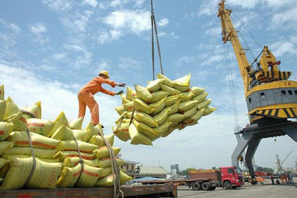 Xuất khẩu gạo đạt trên 3 tỷ USD, đà tăng lớn vẫn còn
