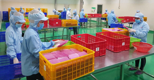 Loại bỏ doanh nghiệp 'đi đêm', doanh nghiệp 'ma'