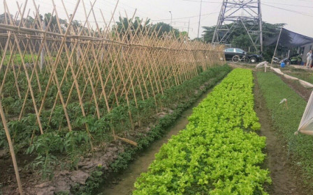 Điều kiện, thủ tục tách thửa đất nông nghiệp năm 2021