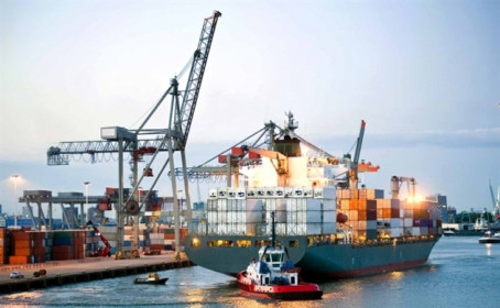 Doanh nghiệp “đau đầu” chuyện cước phí tàu