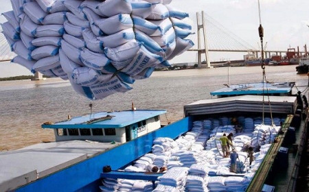 Giá gạo tăng, triển vọng cho xuất khẩu gạo Việt Nam năm 2021