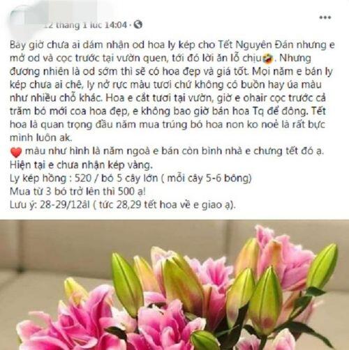 Hoa ly kép độc lạ đắt hàng ngày giáp Tết