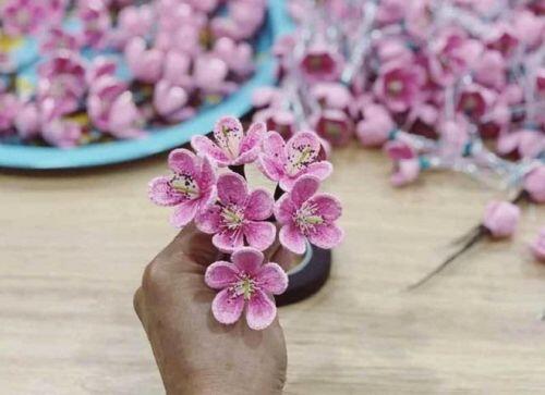 Hoa đào, mai độc nhất vô nhị, giá chục triệu đồng cũng không có mua