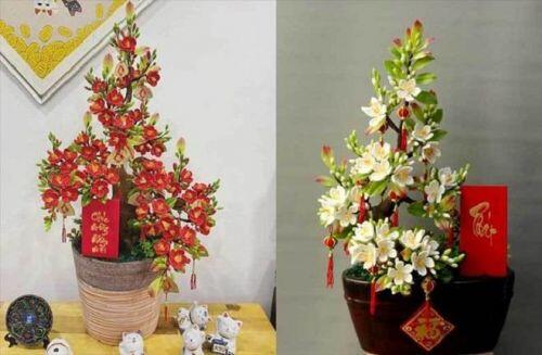 Hoa đào, mai độc nhất vô nhị, giá chục triệu đồng cũng không có mua