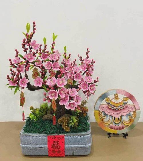 Hoa đào, mai độc nhất vô nhị, giá chục triệu đồng cũng không có mua