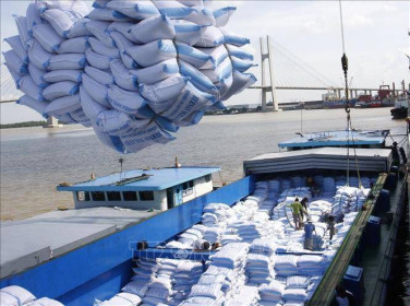 Xuất khẩu gạo có nhiều cơ hội bứt phá trong năm 2021