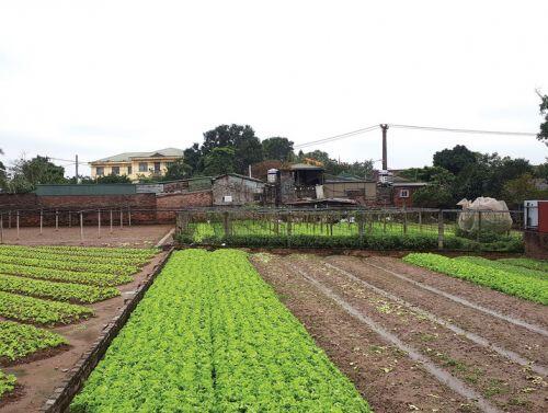 Giá đất nông nghiệp vùng ven Hà Nội tăng chục lần