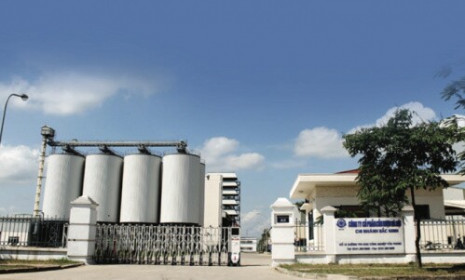 Halico “chìm đắm” trong chuỗi ngày thua lỗ