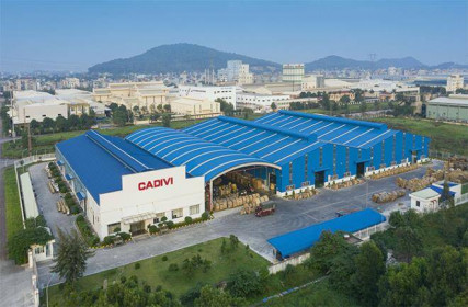 Bất chấp COVID-19, nhiều doanh nghiệp muốn lãi gấp đôi trong 2021