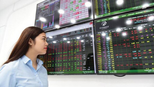 Chứng khoán 2021 vẫn dựa vào dòng vốn rẻ và lực lượng F0?