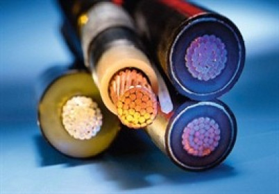 CAV tạm ứng cổ tức đợt 2/2020 tỷ lệ 30% bằng tiền