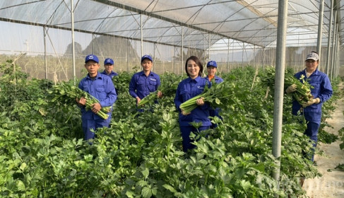 Doanh nghiệp Việt hướng đến chinh phục thị trường thực phẩm Halal